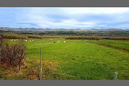 Novalja - Pag - Košljun - 7